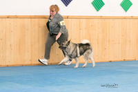 IMG-6037