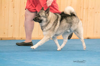 IMG-6076