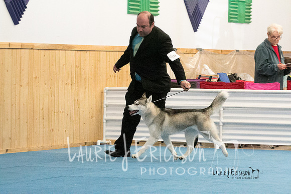 IMG-2488