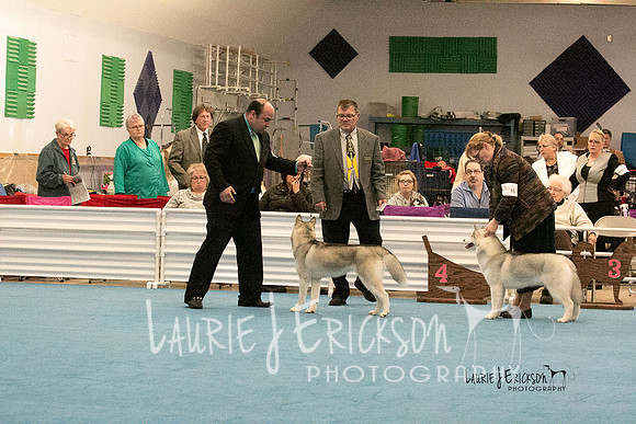 IMG-2511
