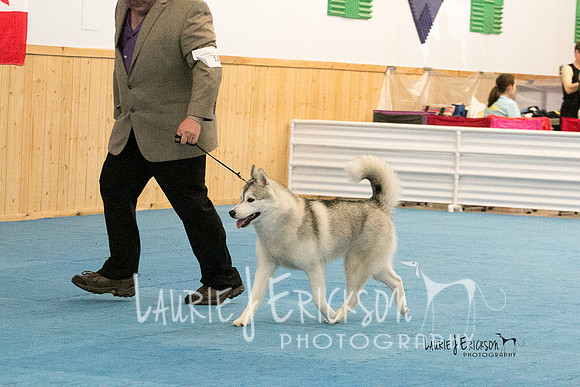 IMG-2462