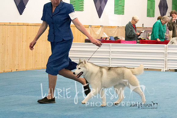 IMG-2491