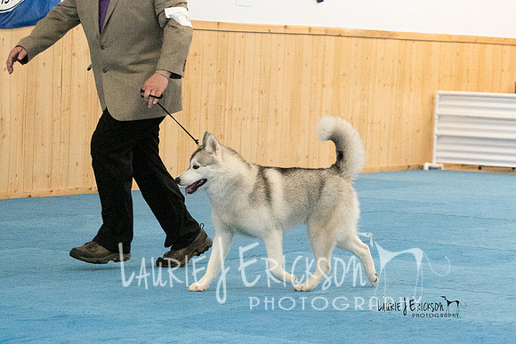 IMG-2465
