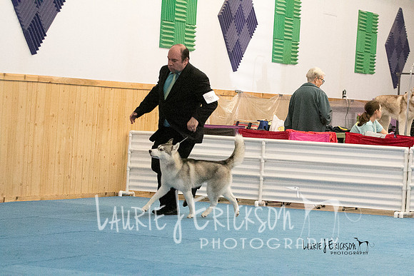 IMG-2456