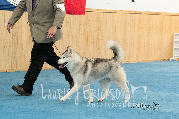 IMG-2466
