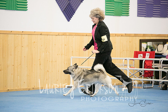 IMG-0591
