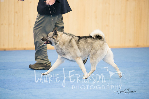 IMG-0603