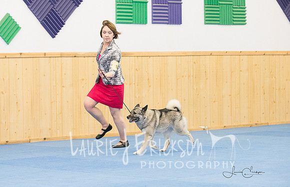 IMG-0551