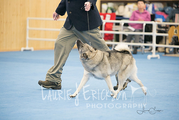 IMG-0598