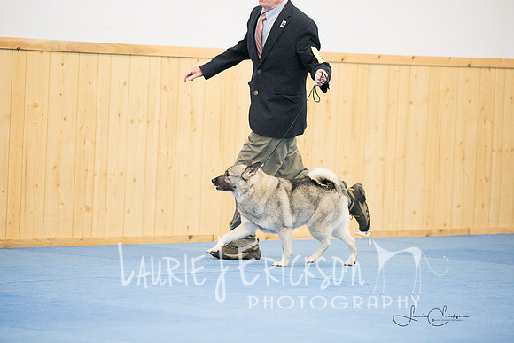 IMG-0611
