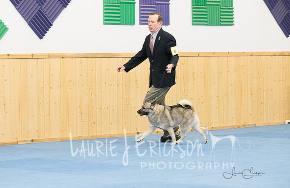 IMG-0559