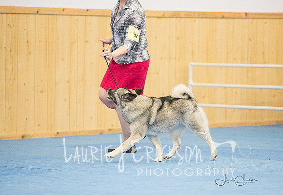 IMG-0573