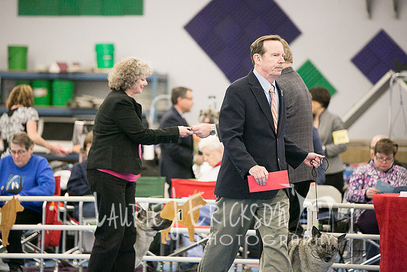 IMG-0631