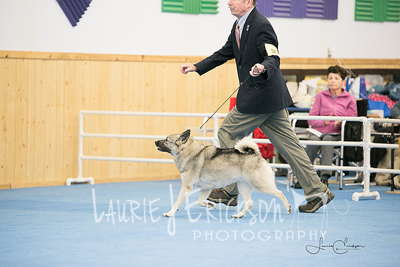 IMG-0607