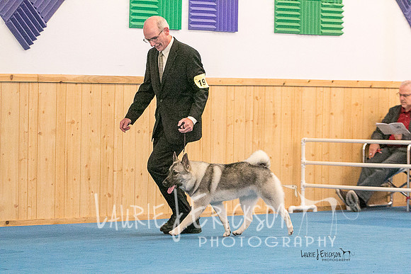 IMG-4489