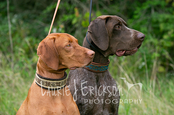 IMG_0292