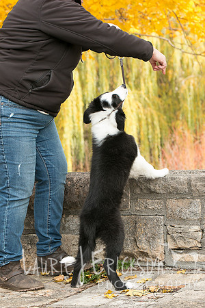 IMG-9994