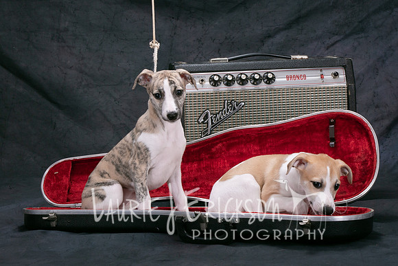 IMG_8509