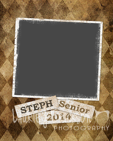 20091129-seniors-template-07