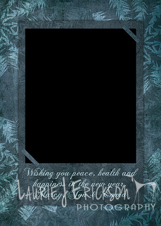 20101205-photobacks-holiday-5x7-card-01_