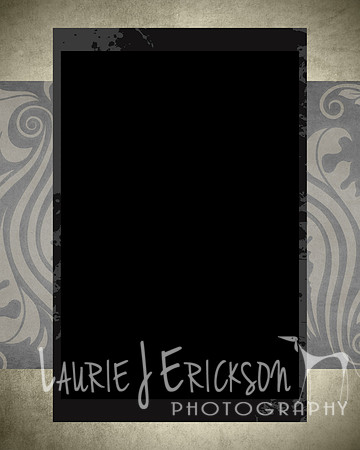20110602-Elite Portrait Template 12