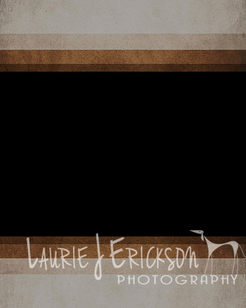 20110602-Elite Portrait Template 17