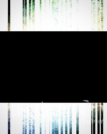 20140311-Impact 03 - 04