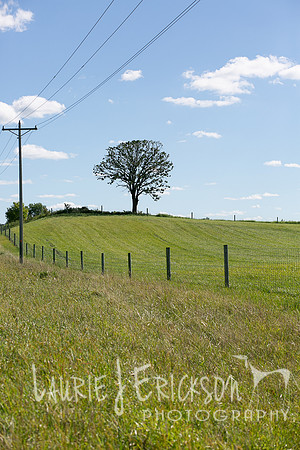 IMG-9392