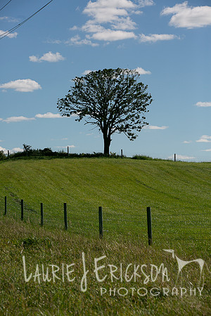 IMG-9396
