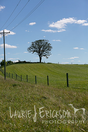 IMG-9394