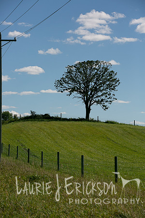IMG-9395