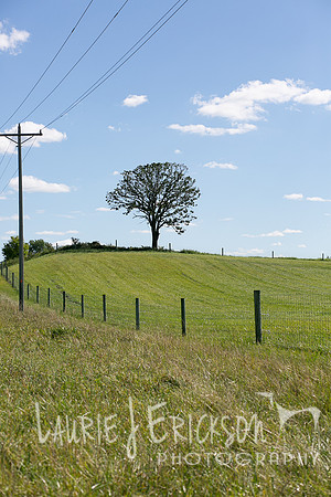 IMG-9393