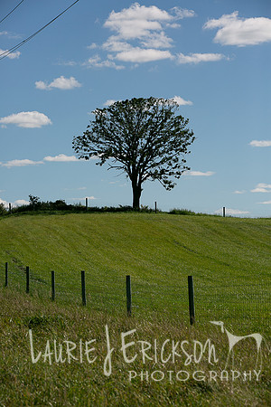 IMG-9397
