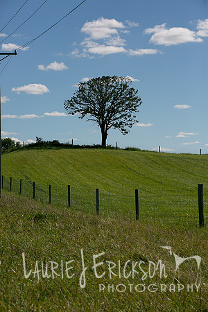 IMG-9399