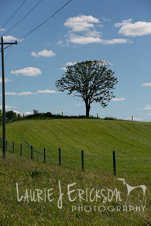 IMG-9400
