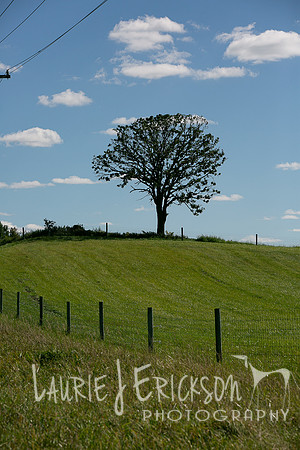 IMG-9401