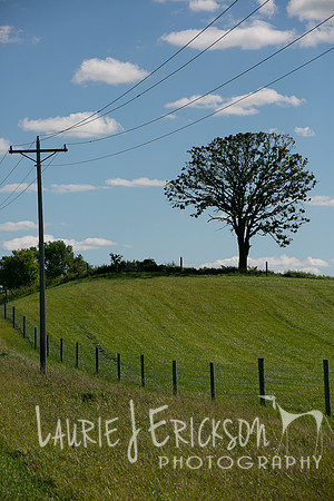 IMG-9403