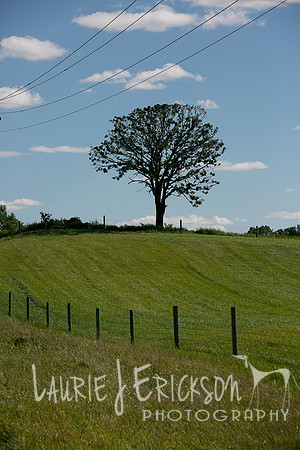 IMG-9404