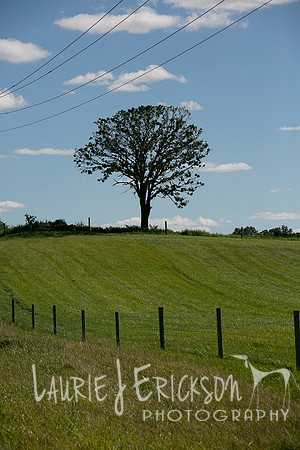 IMG-9405