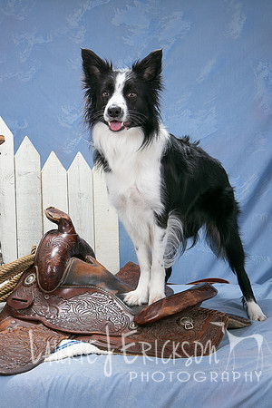 IMG-0513