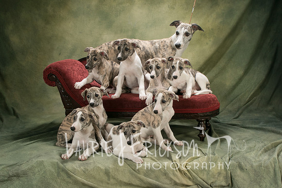 IMG_2850