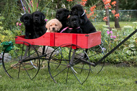 IMG-1442