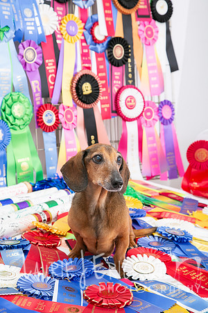 IMG_0467
