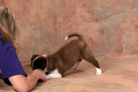 IMG_9619