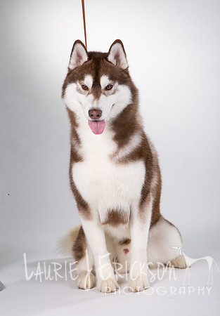 IMG_2067
