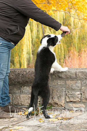 IMG-9993