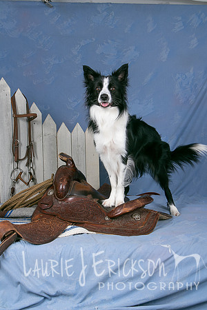 IMG-0514