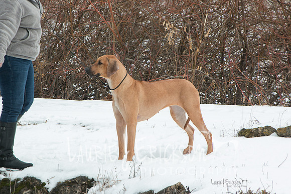 IMG-2286