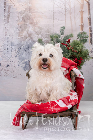 IMG_1724
