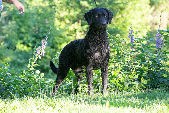 IMG_3489
